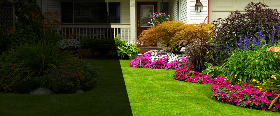 Phoenix Landscapers
