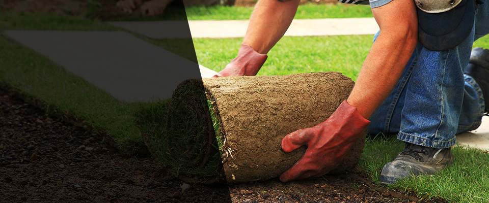 Phoenix Landscapers